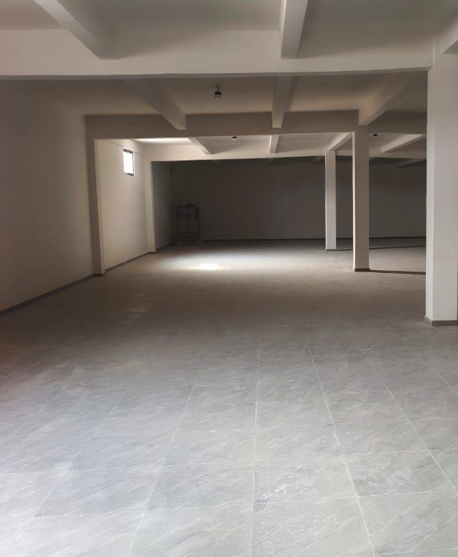 6ac377717d164.jpg