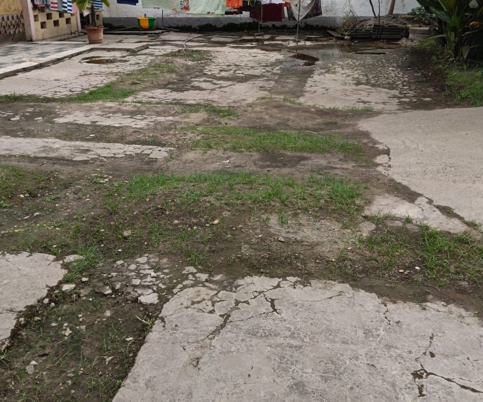 6ac5067fcd5b0.jpg