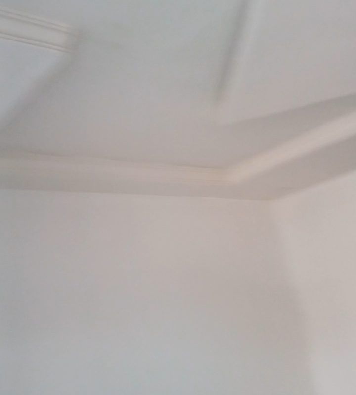 6ac8fe082a23f.jpg
