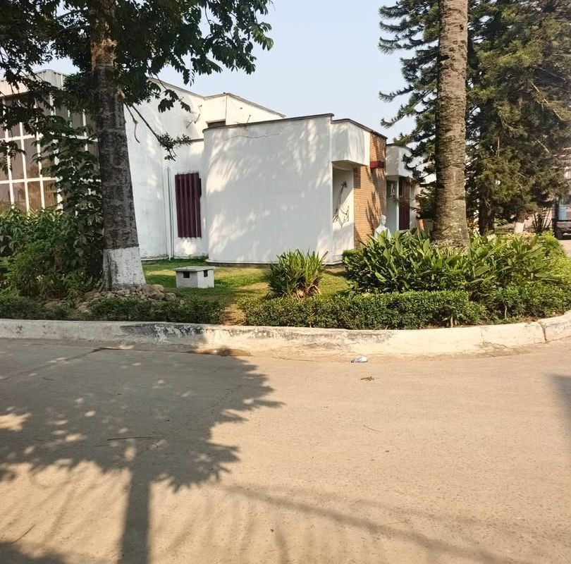 6acffe36174ec.jpg