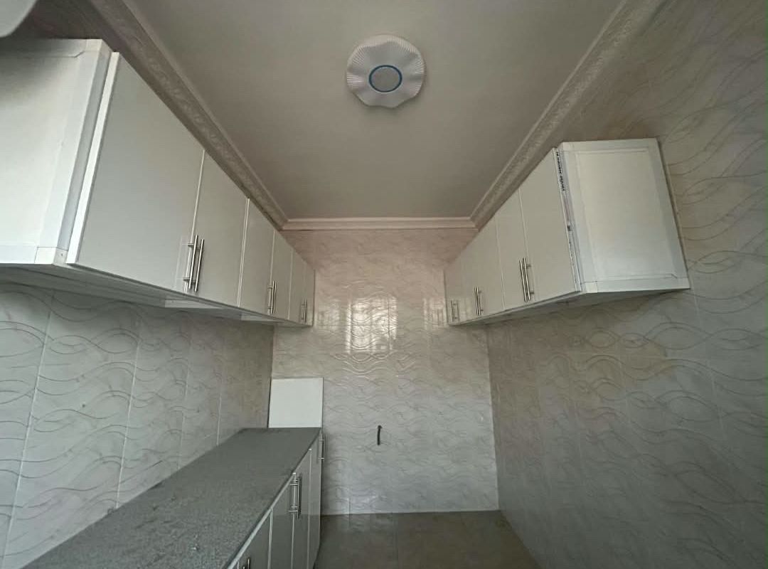 6ad1f54649252.jpg