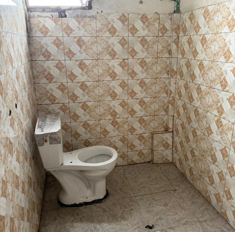 6ad204eb7dd04.jpg