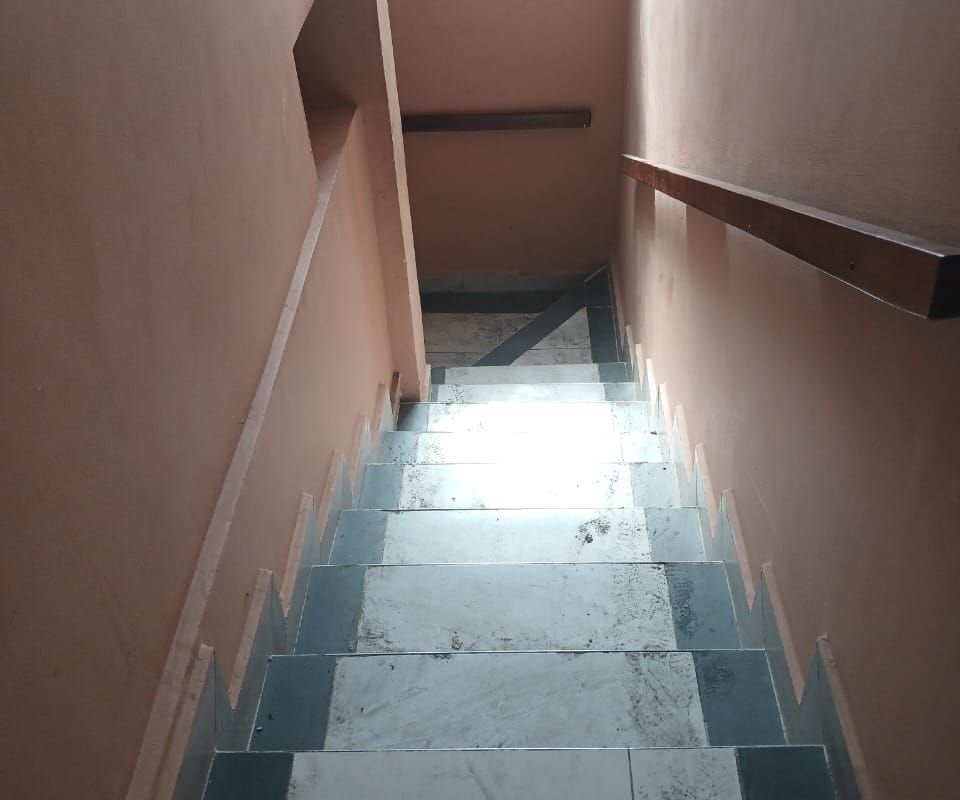 6ad21e9050755.jpg