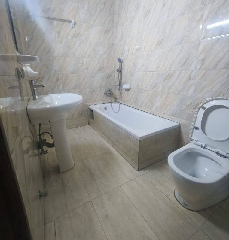 6ad22b3812553.jpg