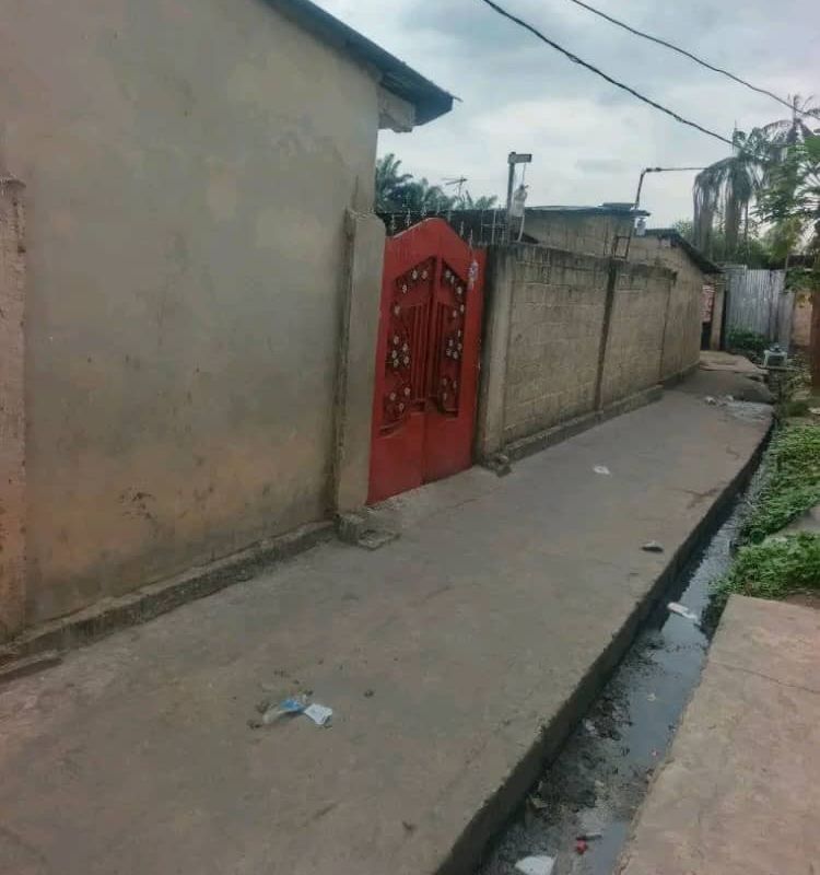 6ad3788c0ba33.jpg