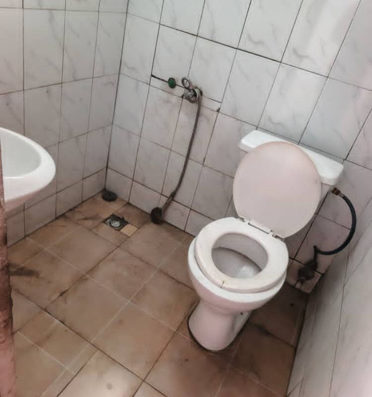 6ada11c6024a4.jpg