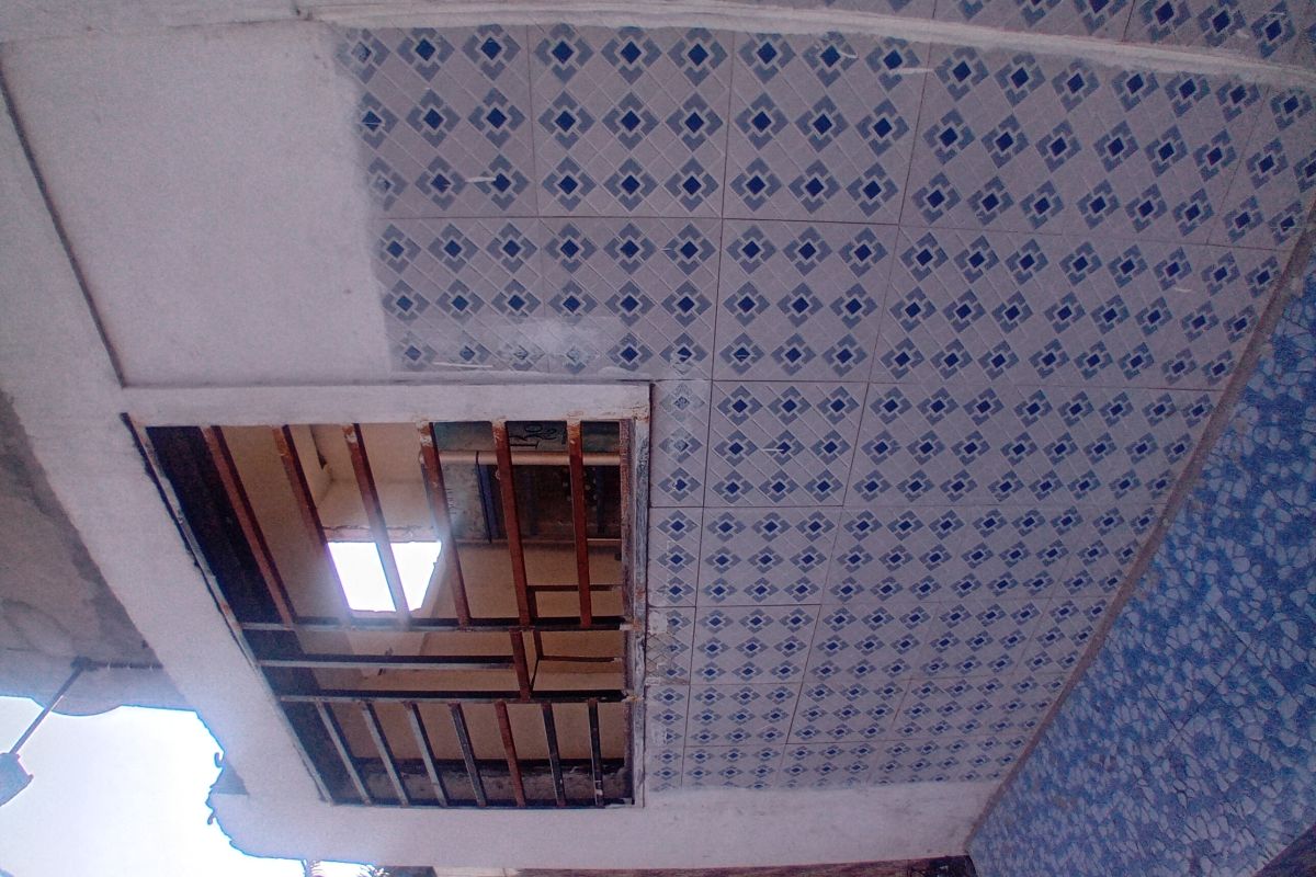 6ada3db7b3312.jpg
