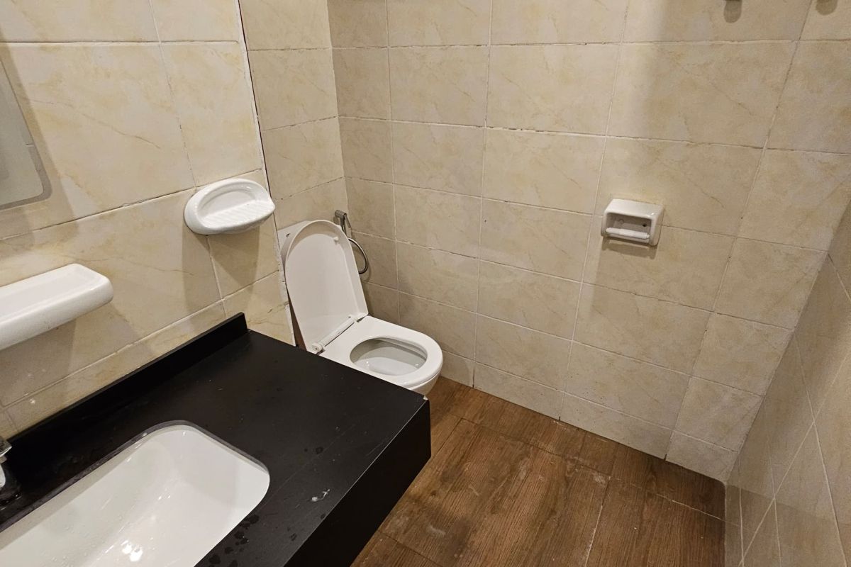 6a956e6c3297f.jpg