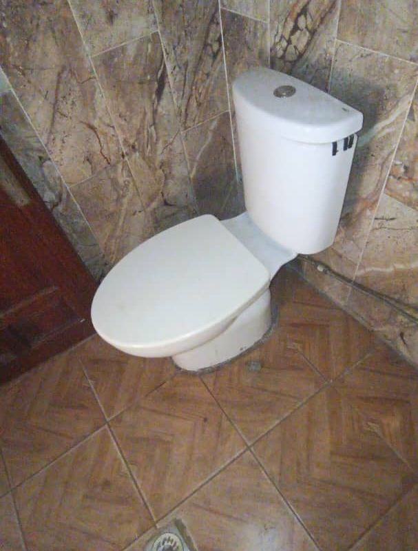 6a9ad88f4a456.jpg