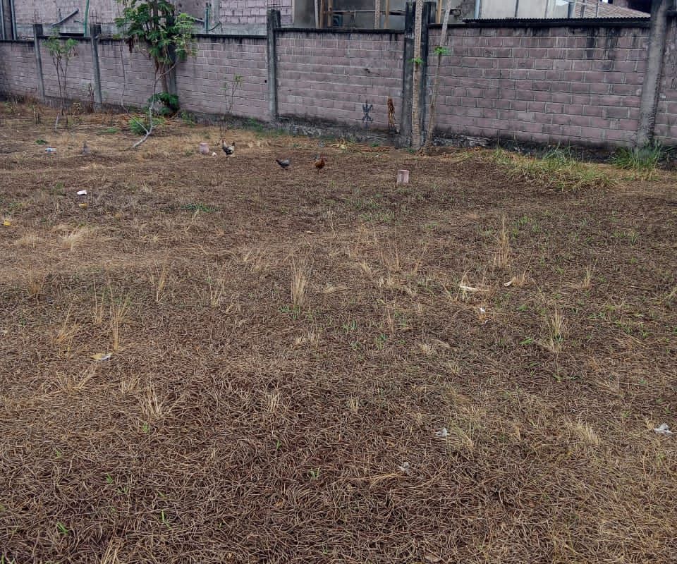 6aa14eb19b400.jpg