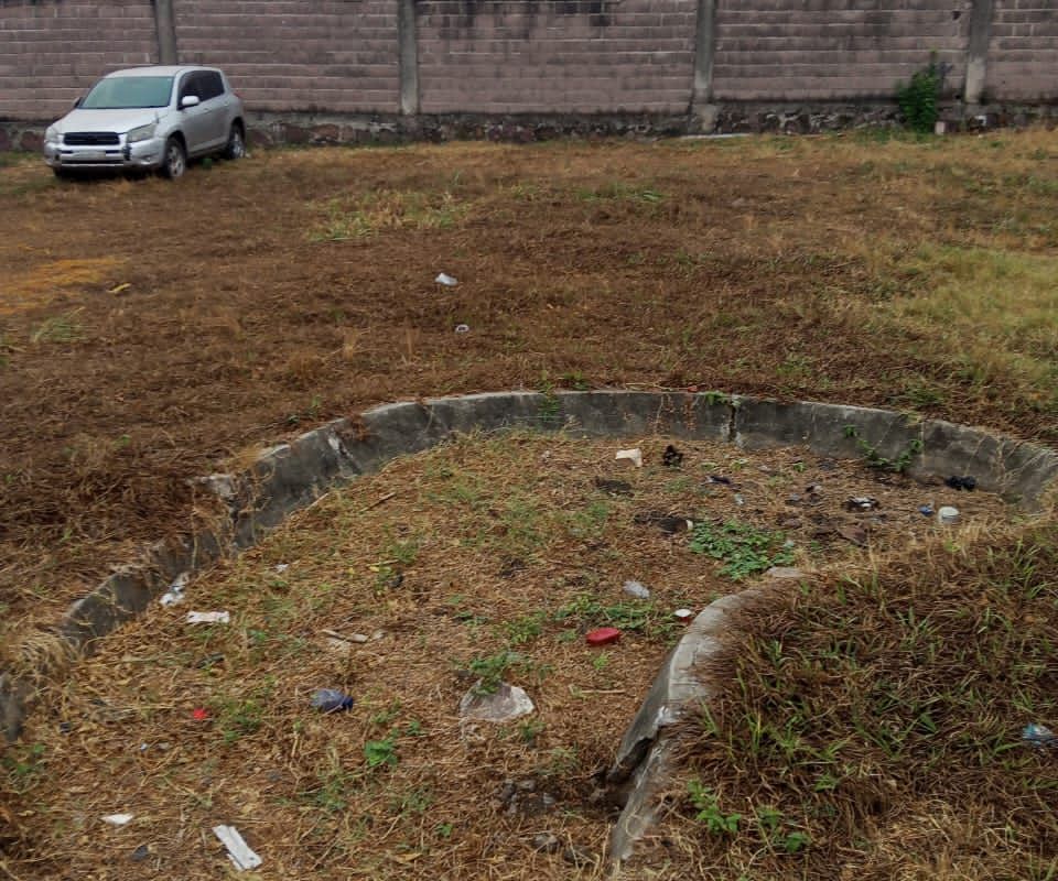 6aa14ebf162e9.jpg