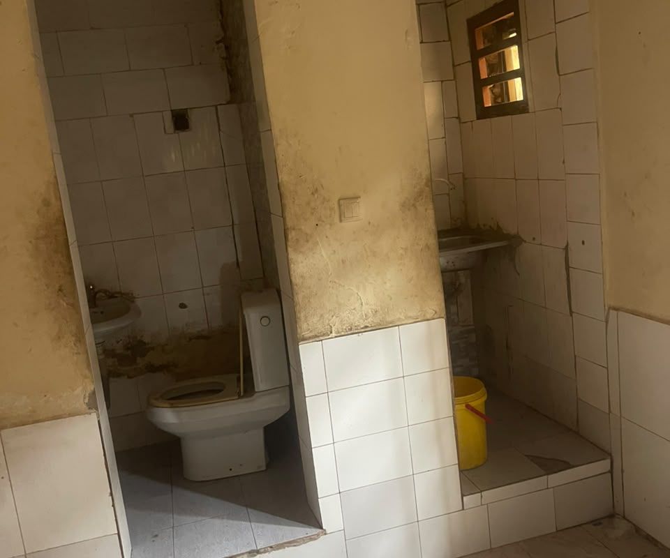 6aa41b3641d25.jpg