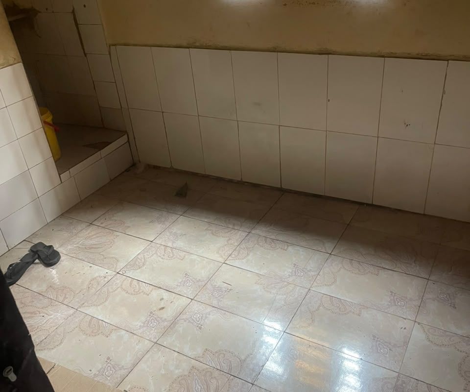 6aa41b38440ef.jpg
