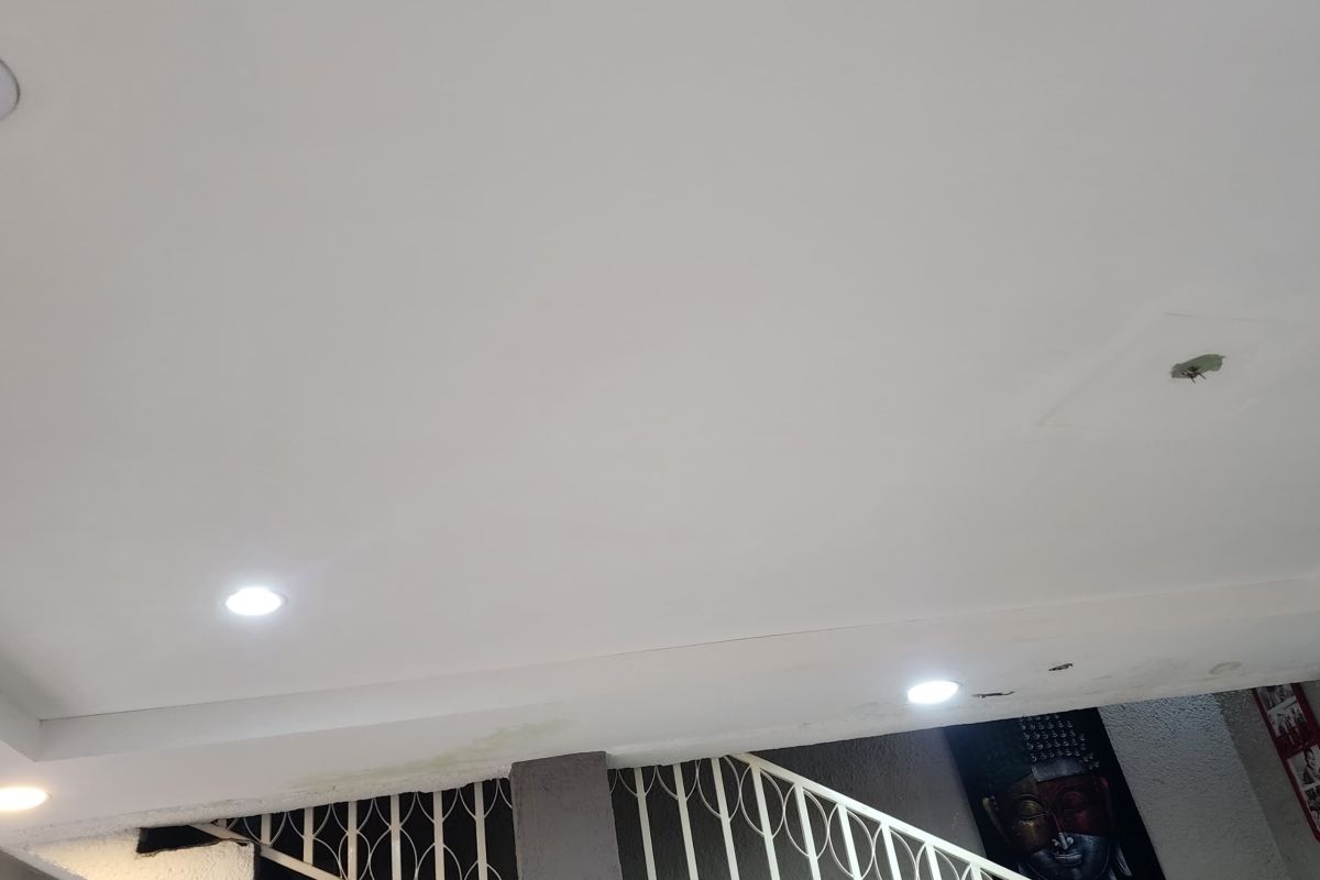 6a8c5bbba279d.jpg