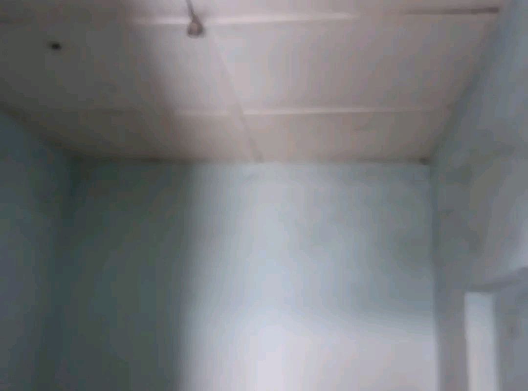 6aae6e481740b.jpg
