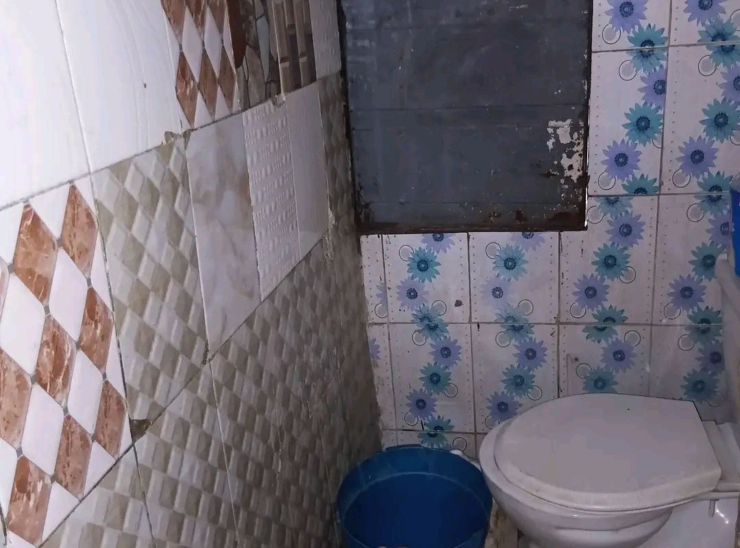 6aae69329df9f.jpg