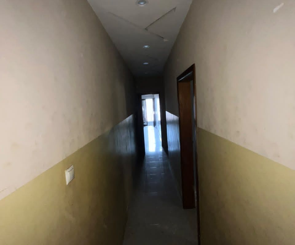 6ab1378500a4e.jpg