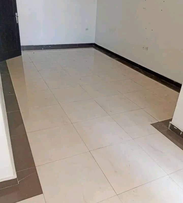6ab8b8ffb2b14.jpg