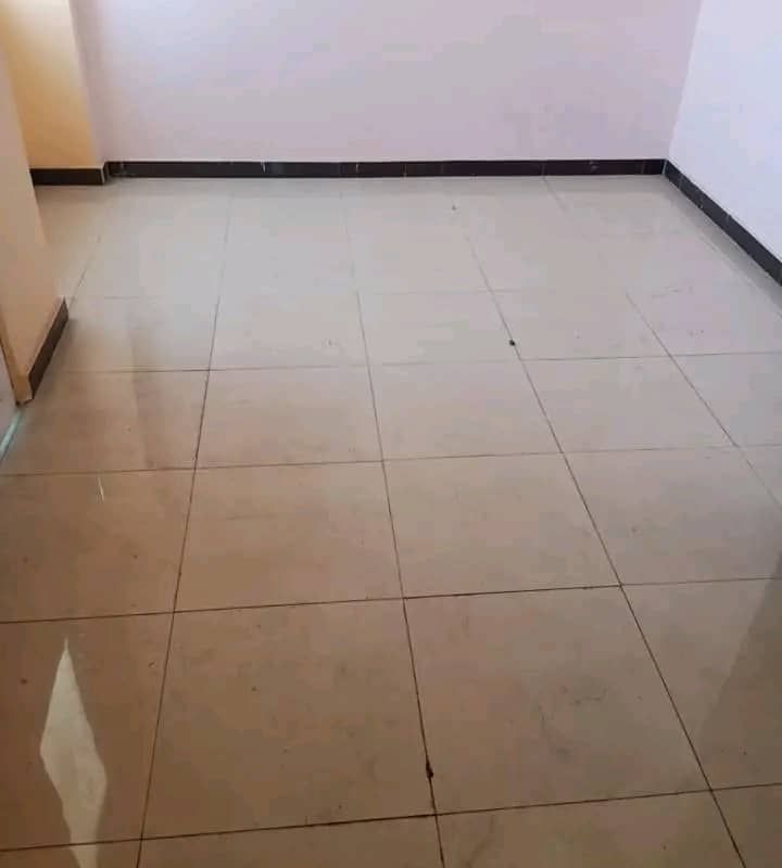 6ab8b8fe45367.jpg